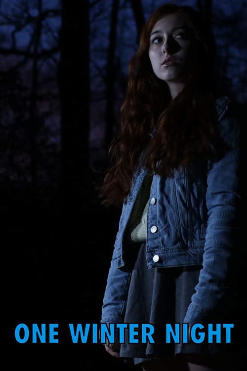 One Winter Night — poster