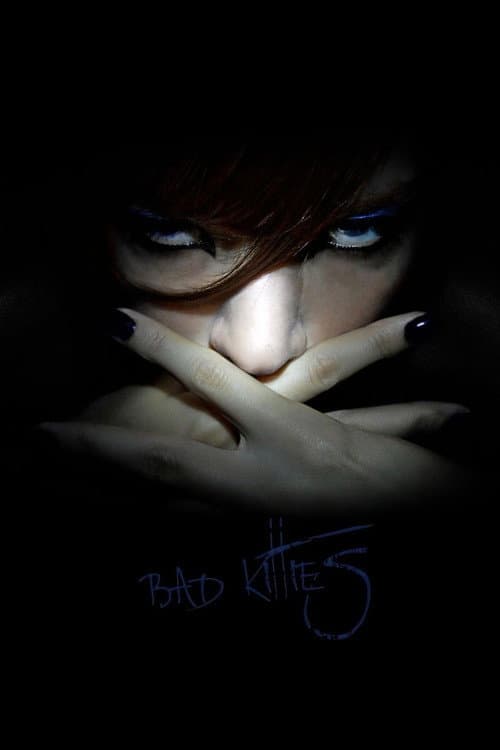 Bad Kitties — poster