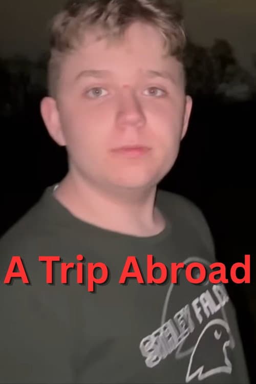 A Trip Abroad — poster