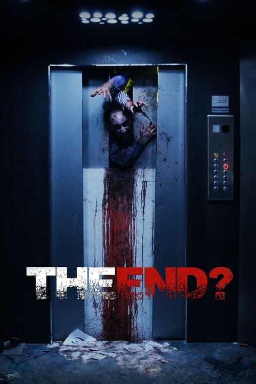 The End? — poster