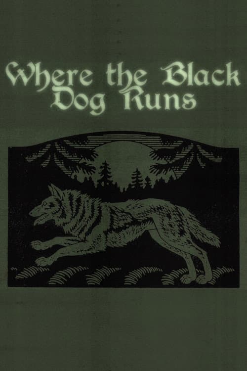 Where the Black Dog Runs — poster
