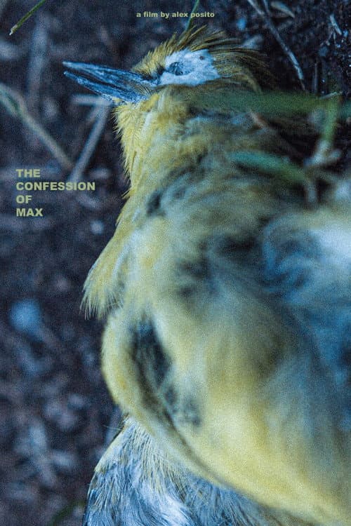 The Confession of Max — poster
