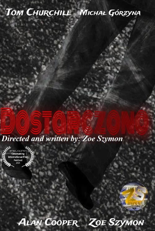 Dostarczono — poster