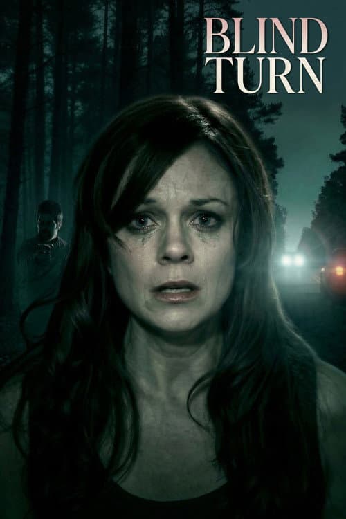 Blind Turn — poster