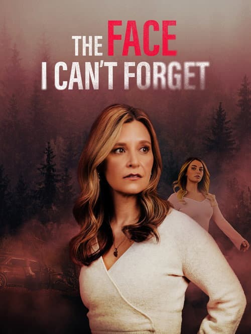 The Face I Can't Forget — poster