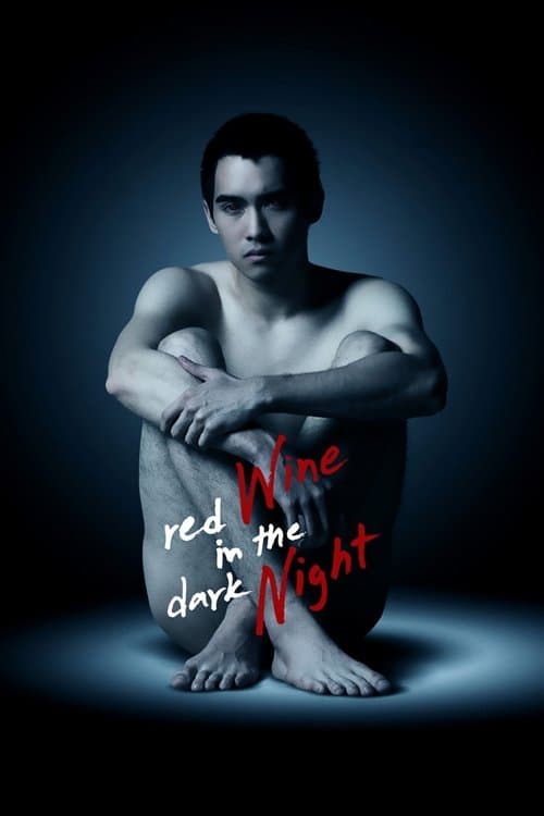 Red Wine in the Dark Night — poster