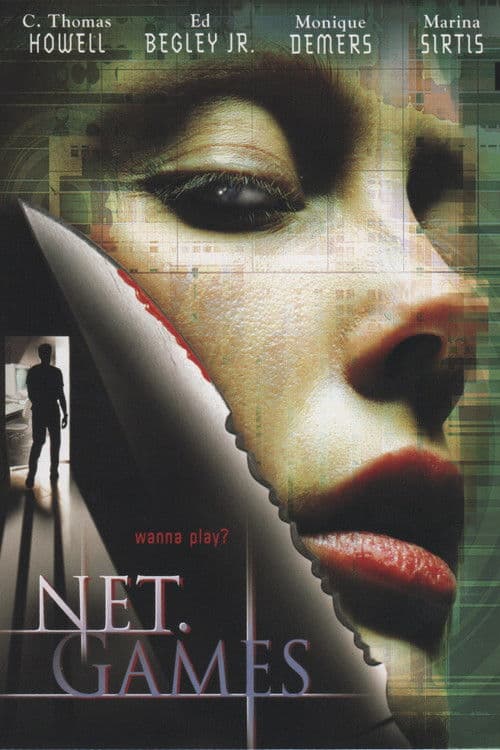 Net Games — poster