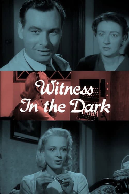 Witness in the Dark — poster