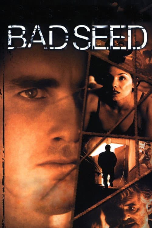 Bad Seed — poster