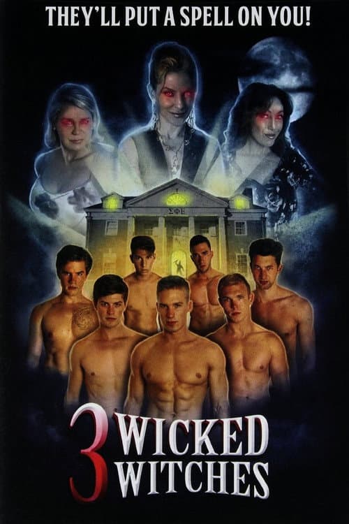 3 Wicked Witches — poster
