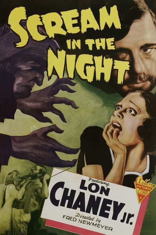 A Scream in the Night — poster