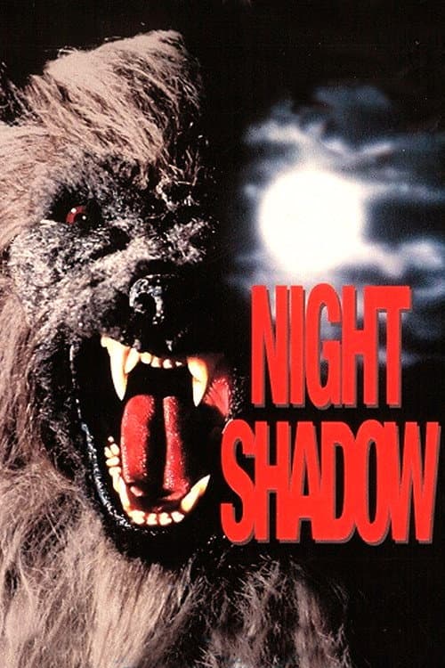 Night Shadow — poster