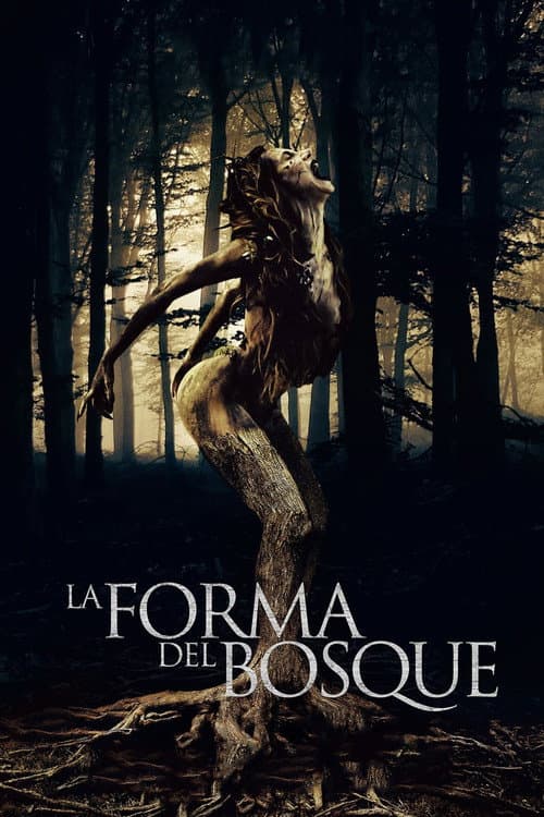 The Shape of the Woods — poster
