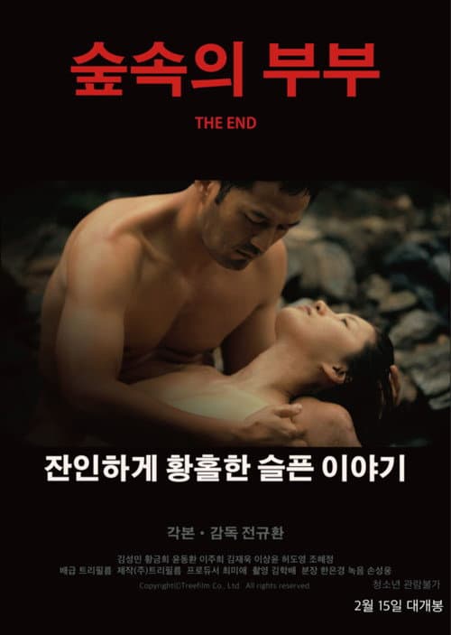 The End — poster