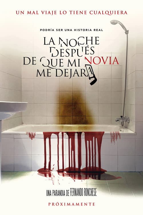 La noche después de que mi novia me dejara — poster