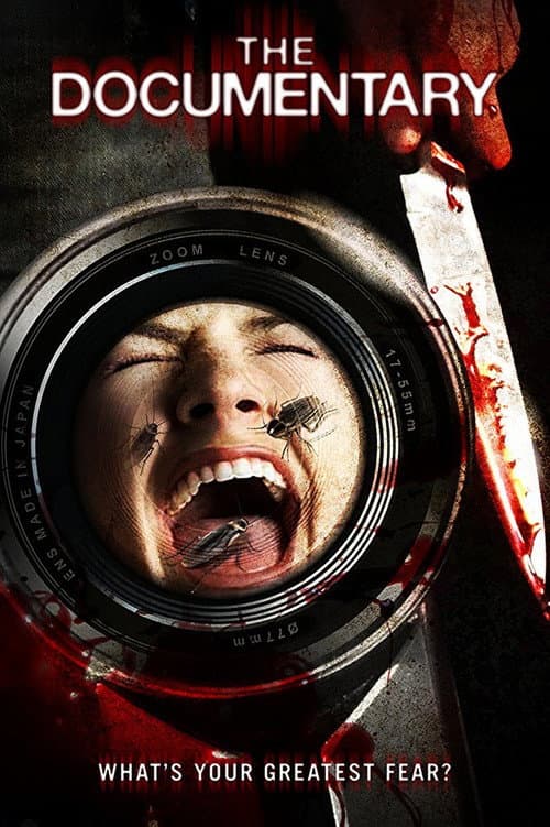 The Documentary — poster