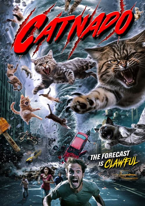 Catnado — poster