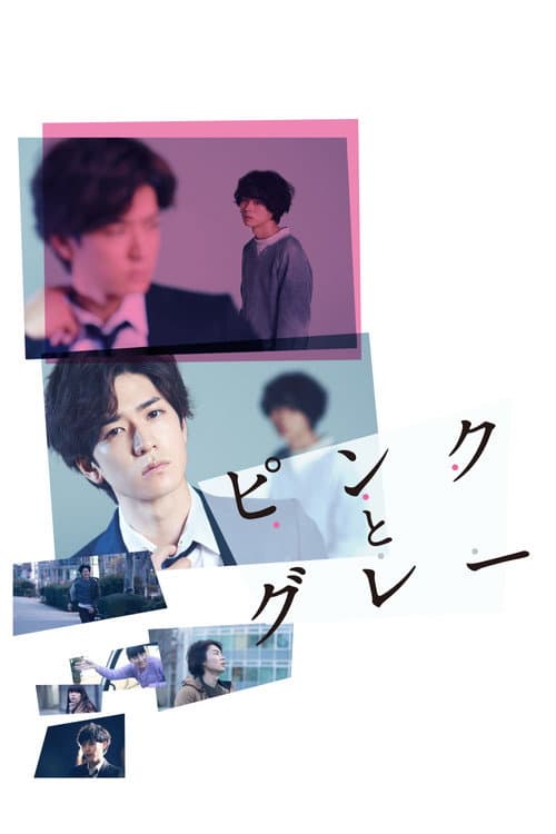 Pink and Gray — poster