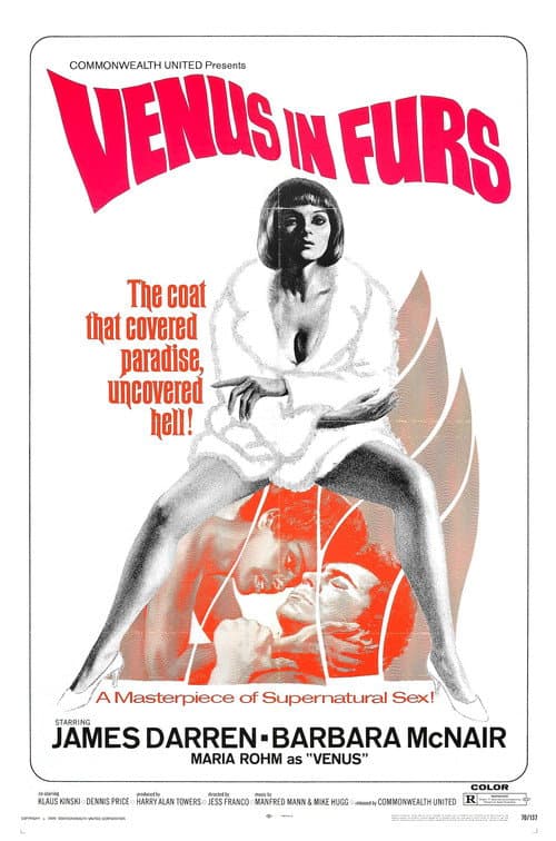 Venus in Furs — poster