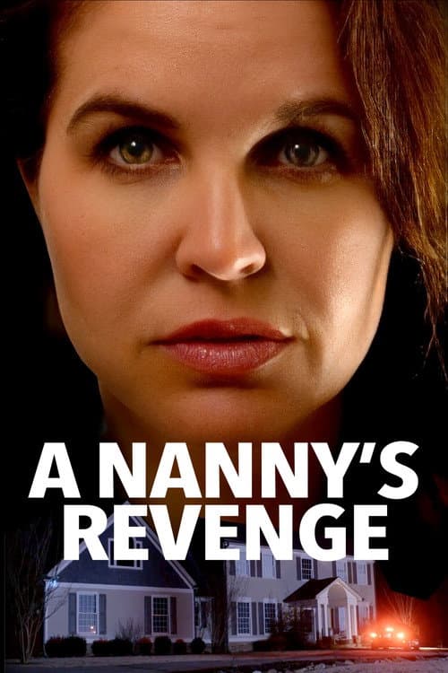 A Nanny's Revenge — poster