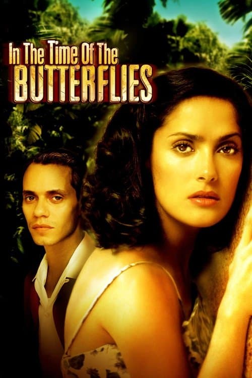 In the Time of the Butterflies — poster