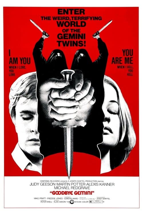 Goodbye Gemini — poster
