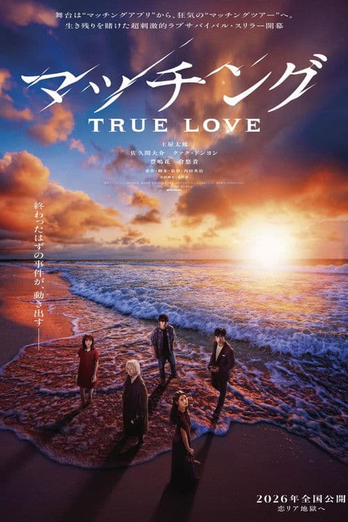 Matched: True Love — poster