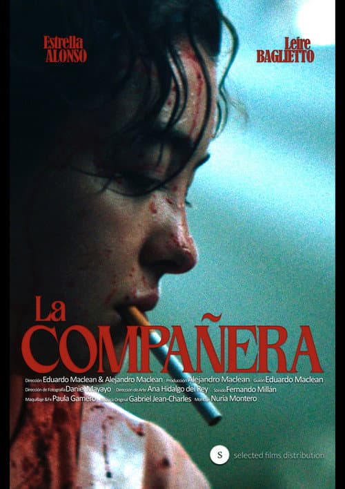 The Classmate — poster