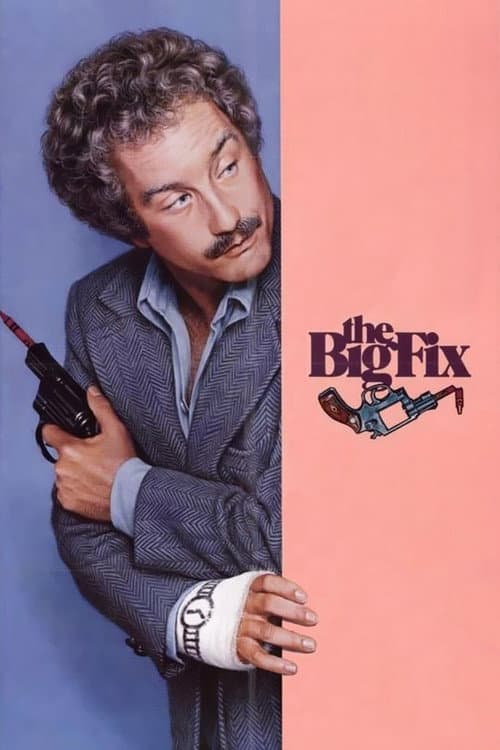 The Big Fix — poster