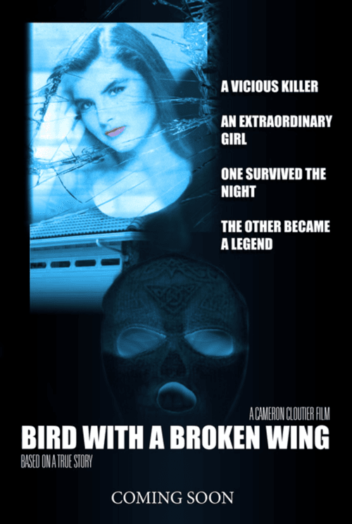 Bird with a broken wing — poster