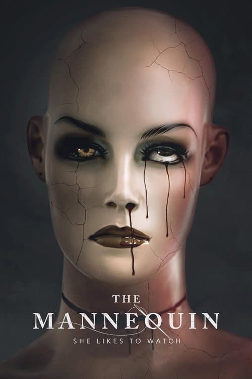 Poster for The Mannequin