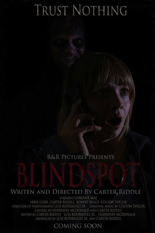 BLINDSPOT — poster