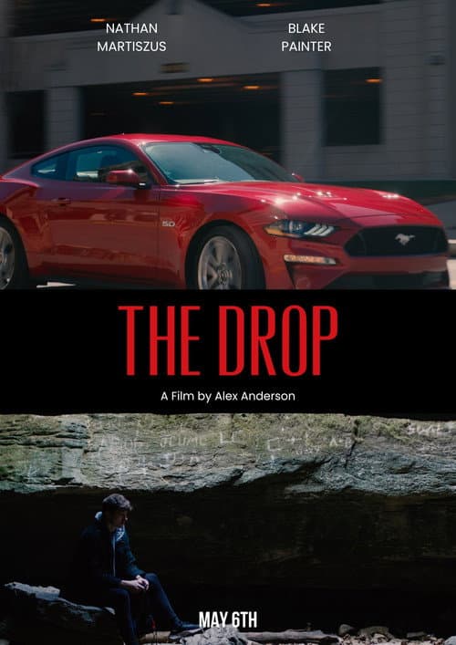 The Drop — poster