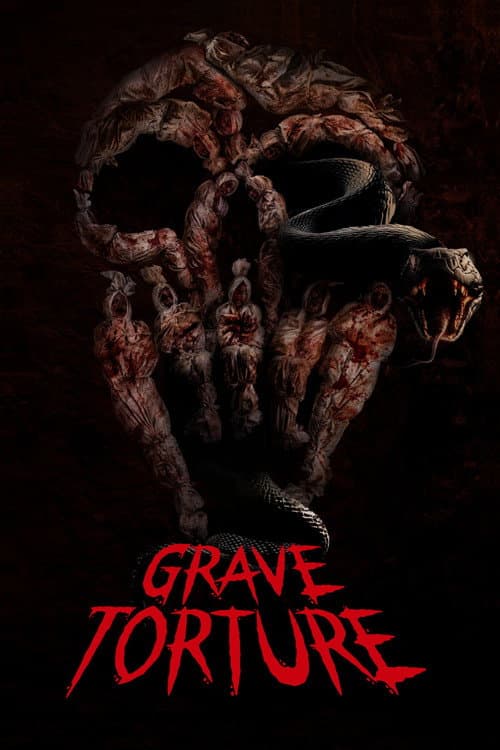 Poster for Grave Torture