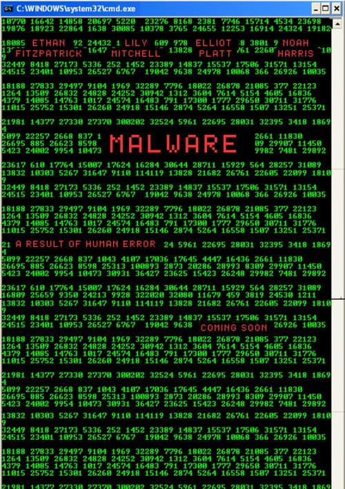 MALWARE — poster