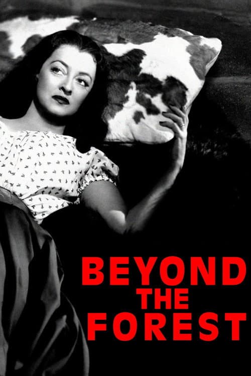 Beyond the Forest — poster
