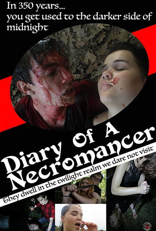 Diary of a Necromancer — poster
