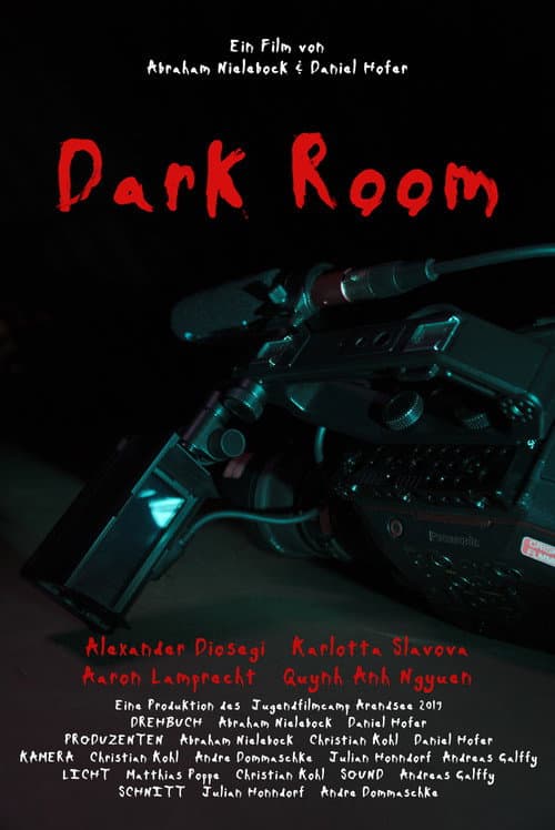DARK ROOM — poster