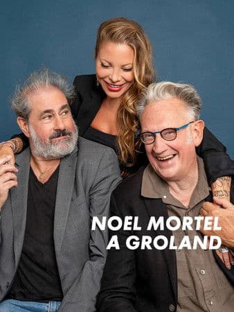 Deadly Christmas in Groland — poster