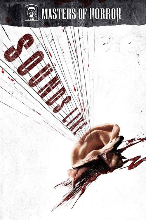 Sounds Like — poster